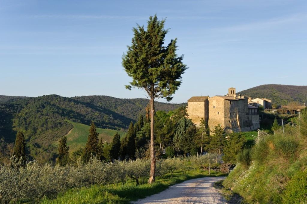 Umbria Nel Cuore Cannara Exteriér fotografie